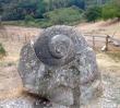 escargot granite